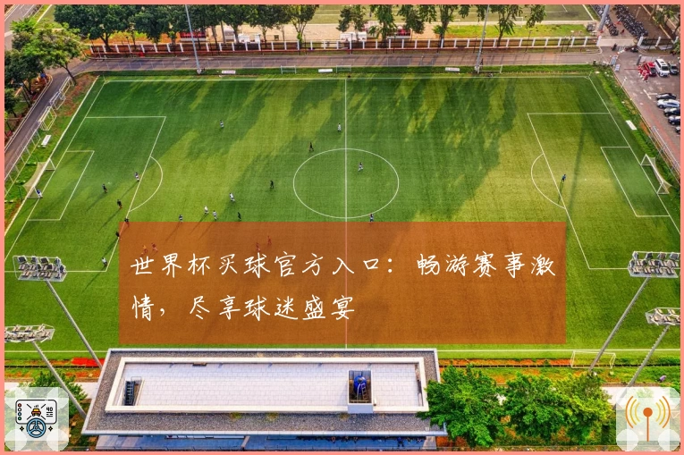 世界杯买球官方入口：畅游赛事激情，尽享球迷盛宴