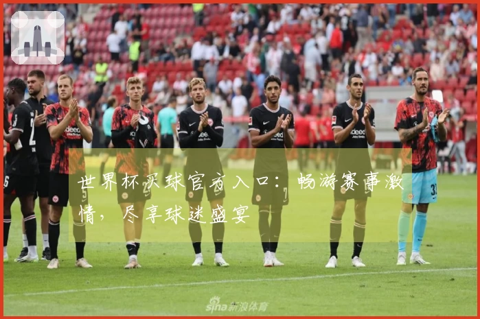 世界杯买球官方入口：畅游赛事激情，尽享球迷盛宴
