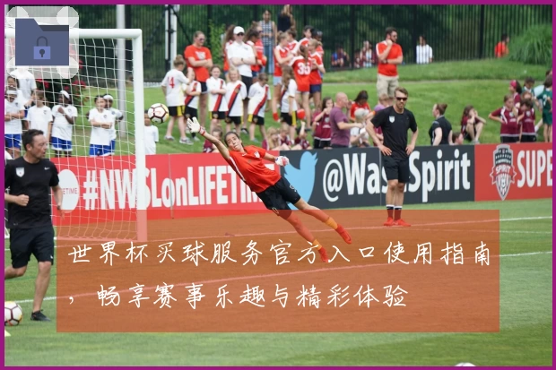 世界杯买球服务官方入口使用指南，畅享赛事乐趣与精彩体验