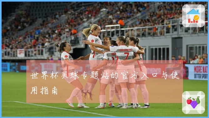 世界杯买球专题站的官方入口与使用指南