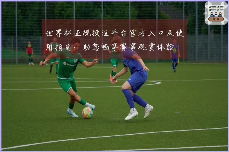 世界杯正规投注平台官方入口及使用指南，助您畅享赛事观赏体验