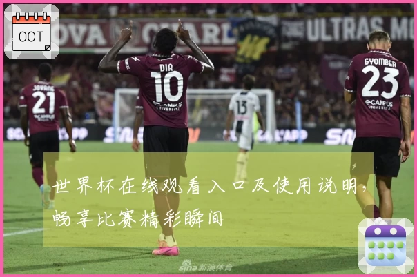 世界杯在线观看入口及使用说明，畅享比赛精彩瞬间