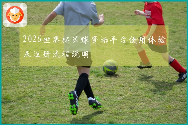 2026世界杯买球资讯平台使用体验及注册流程说明