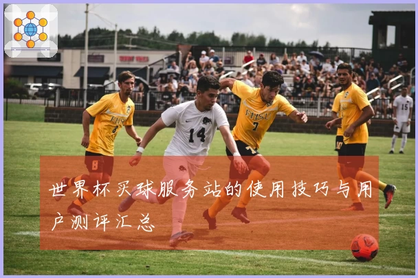 世界杯买球服务站的使用技巧与用户测评汇总