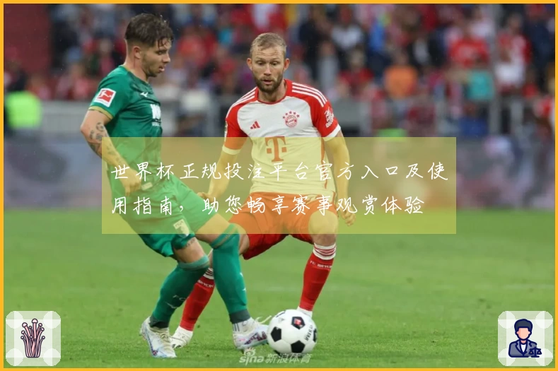 世界杯正规投注平台官方入口及使用指南，助您畅享赛事观赏体验