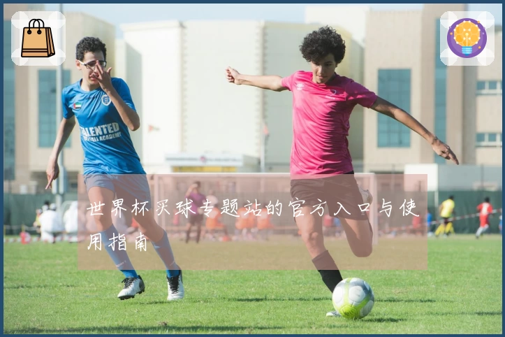 世界杯买球专题站的官方入口与使用指南