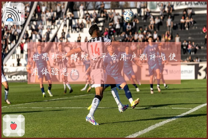 世界杯买球综合平台用户测评与使用体验总结