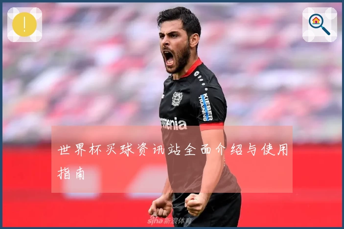 世界杯买球资讯站全面介绍与使用指南
