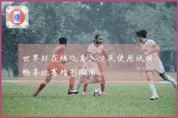 世界杯在线观看入口及使用说明，畅享比赛精彩瞬间
