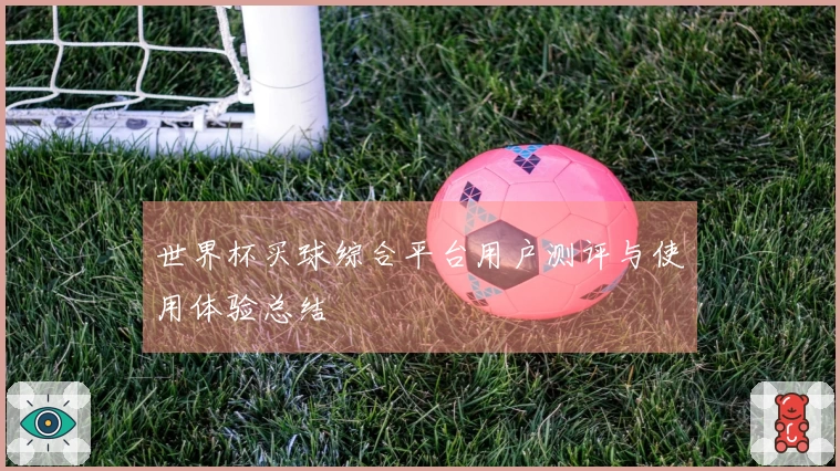 世界杯买球综合平台用户测评与使用体验总结