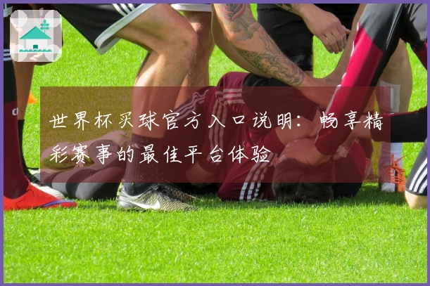 世界杯买球官方入口说明：畅享精彩赛事的最佳平台体验