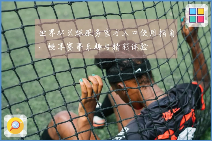 世界杯买球服务官方入口使用指南，畅享赛事乐趣与精彩体验